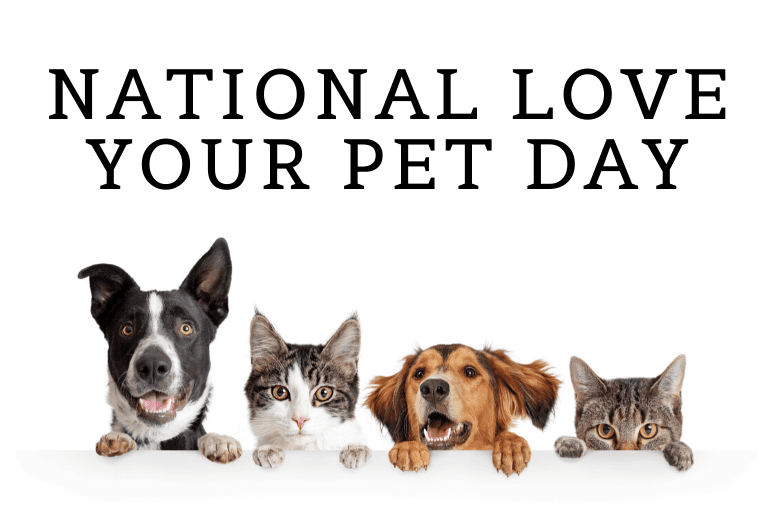 National Love Your Pet Day From the Team